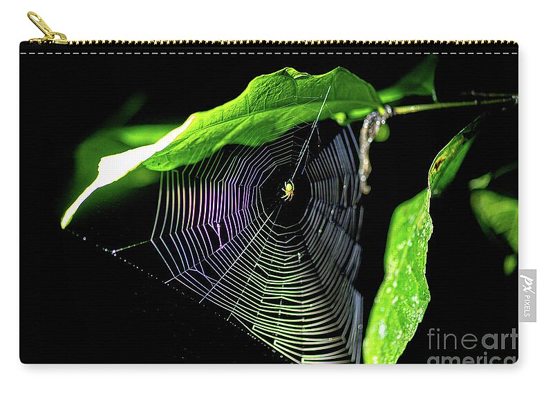 Spider Zip Pouch featuring the photograph Spider spinning a web k1 by Eyal Bartov
