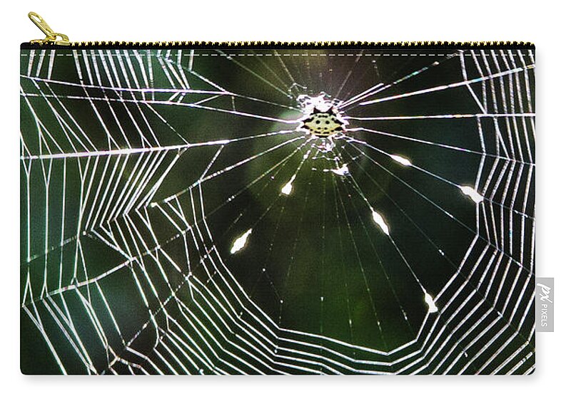 Web Zip Pouch featuring the photograph Spider Web at Fort Macon State Park by Bob Decker