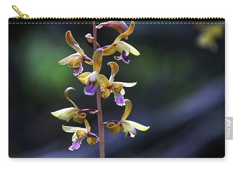  Zip Pouch featuring the photograph Spiked Crested Coralroot by William Rainey