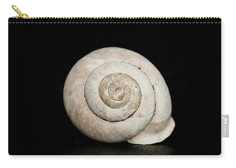 Black Zip Pouch featuring the photograph Spiral Shell by Amelia Pearn