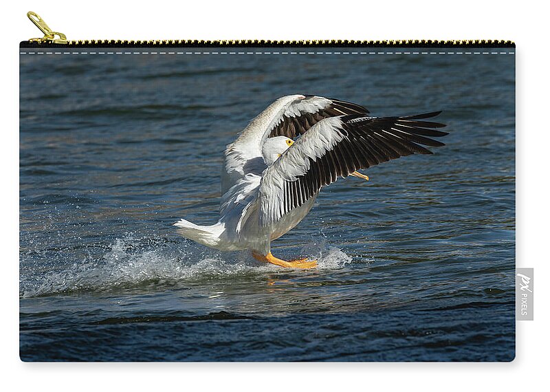 American White Pelican Carry-all Pouch featuring the photograph Splash Down 2016 by Thomas Young