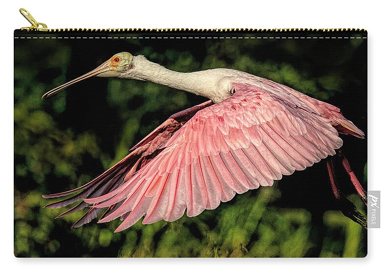 Bird Zip Pouch featuring the photograph Spoonbill In Flight by Don Durfee