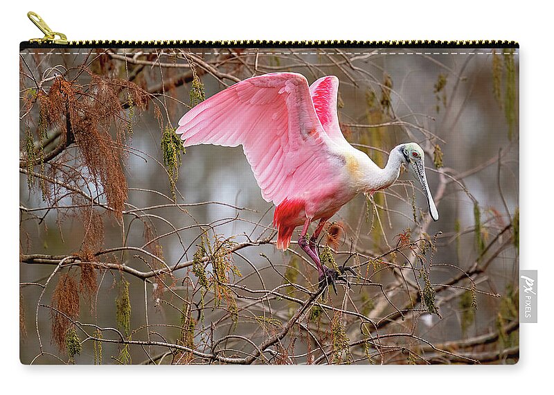  Zip Pouch featuring the photograph Spoonbill Nesting by Norman Peay