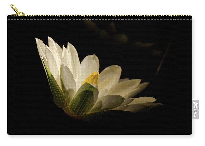 Floral Zip Pouch featuring the photograph Spotlight on Waterlily Nature Floral Botanical Night Photo by PIPA Fine Art - Simply Solid