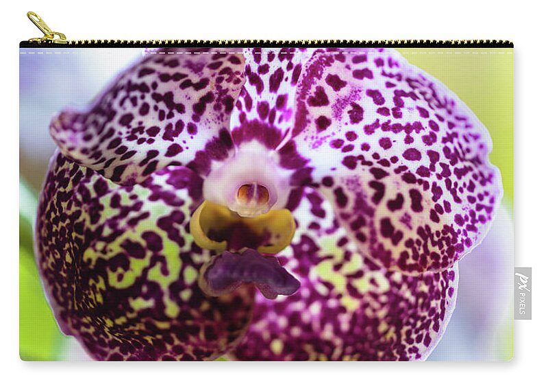 Ascda Kulwadee Fragrance Zip Pouch featuring the photograph Spotted Vanda Orchid Flowers by Raul Rodriguez