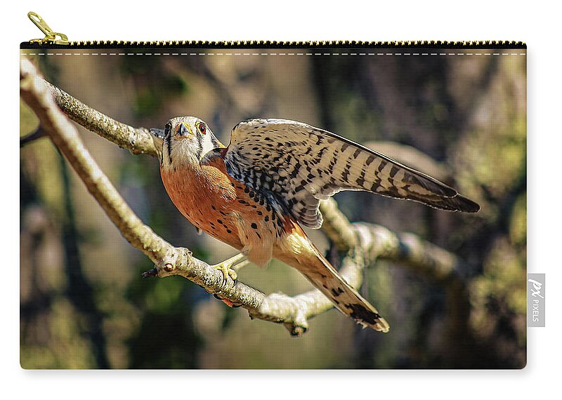 Kestrel Zip Pouch featuring the photograph Spread Your Wings by SC Shank