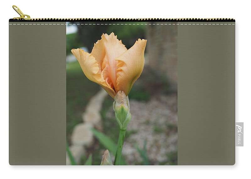 Orange Zip Pouch featuring the photograph Spring Bloom 11 by C Winslow Shafer