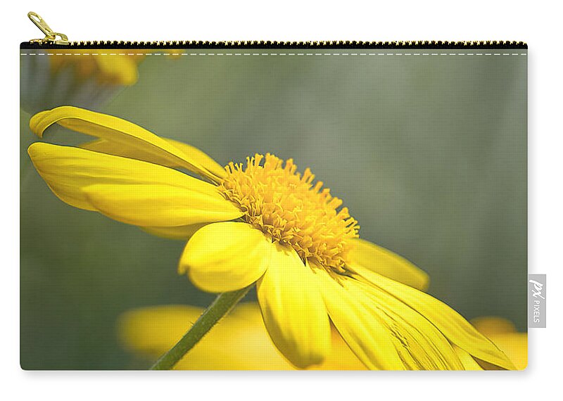 Background Zip Pouch featuring the photograph Spring Bloom by Rick Nelson