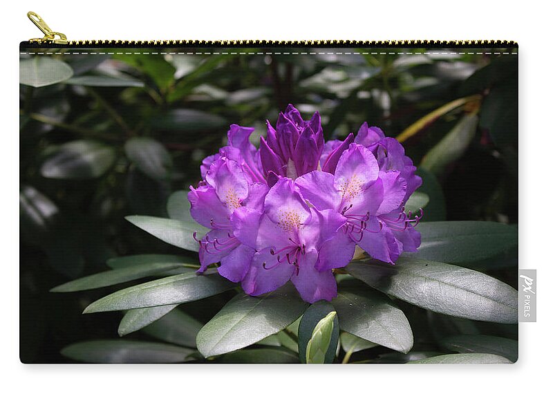 Close Up Color Photography Of A Rhododendron Blossom. Zip Pouch featuring the photograph Spring Blossom by Geoff Jewett