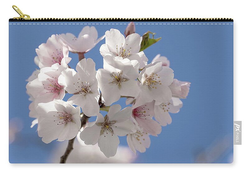 Georgia Zip Pouch featuring the photograph Spring Cherry Bloooms by David R Robinson