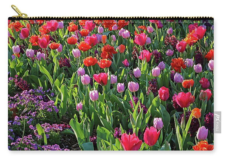 Tulips Zip Pouch featuring the photograph Spring Explosion by Gina Fitzhugh