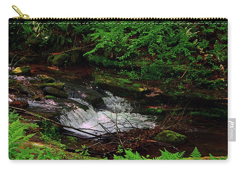 Spring Green Ferns With Dunnfield Creek Zip Pouch featuring the photograph Spring Green Ferns With Dunnfield Creek by Raymond Salani III