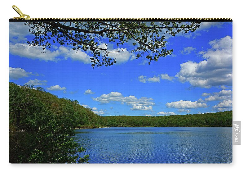 Spring Green Sunfish Pond And Tree Branch Zip Pouch featuring the photograph Spring Green Sunfish Pond and Tree Branch by Raymond Salani III