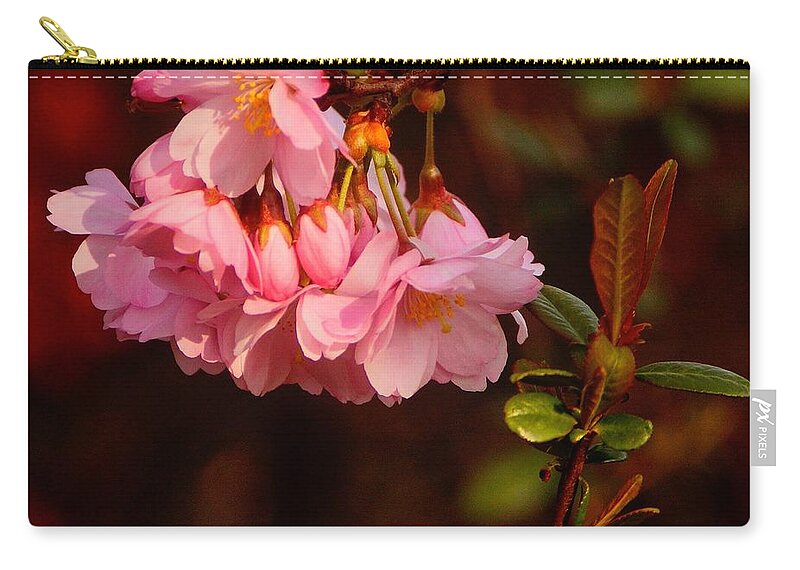 Spring Zip Pouch featuring the photograph Spring has Sprung by Richard Cummings