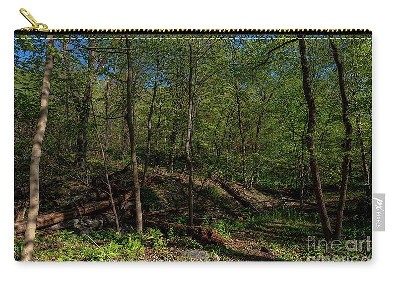 2020 Carry-all Pouch featuring the photograph Spring in Hudson Valey by Stef Ko