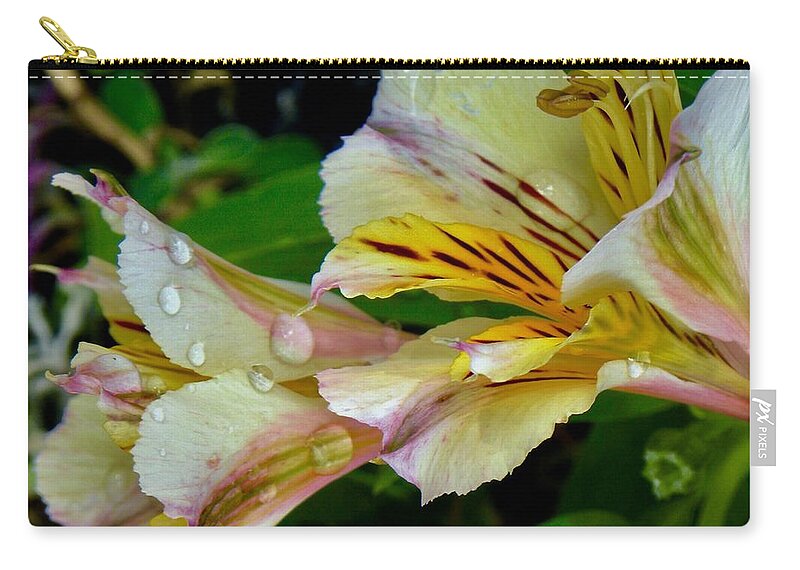 Flowers Carry-all Pouch featuring the photograph Two Blooms by Kerry Obrist