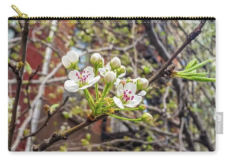 Springtime Zip Pouch featuring the photograph Spring on an NYC Street by Annalisa Rivera-Franz