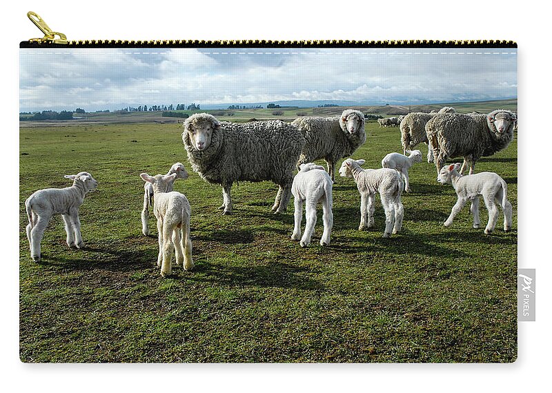 Sheep Carry-all Pouch featuring the photograph Springtime Babies - High Country Sheep Muster, South Island, New Zealand by Earth And Spirit