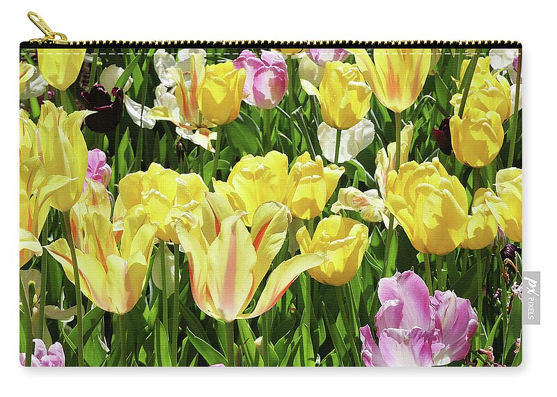 Landscape Zip Pouch featuring the photograph Spring Tulips 2 by Sharon Williams Eng