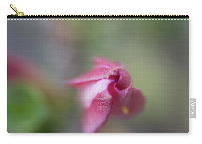 Desert Rose Zip Pouch featuring the photograph Springing Desert Rose by Vicki Ferrari