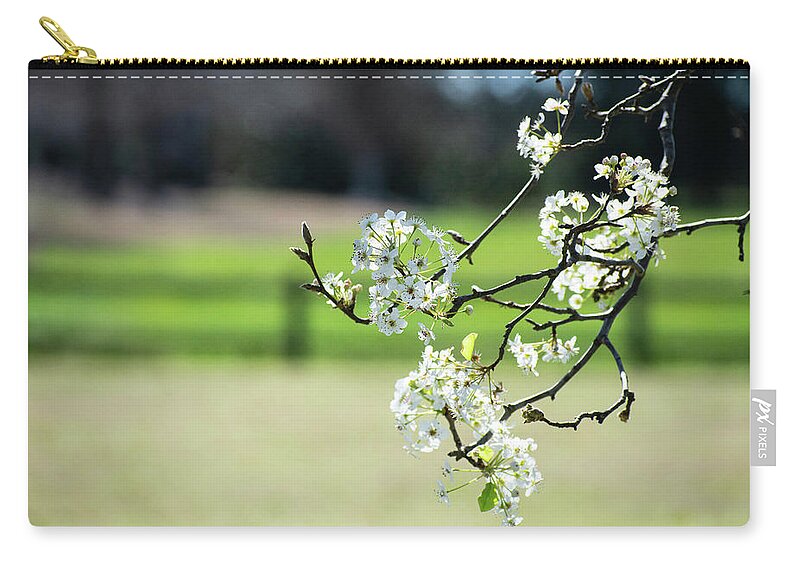 Bradford Pear Zip Pouch featuring the photograph Springtime in Montgomery by Mary Ann Artz