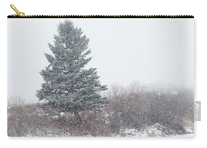 Snow Carry-all Pouch featuring the photograph Spruce tree on a snowy day by Karen Rispin