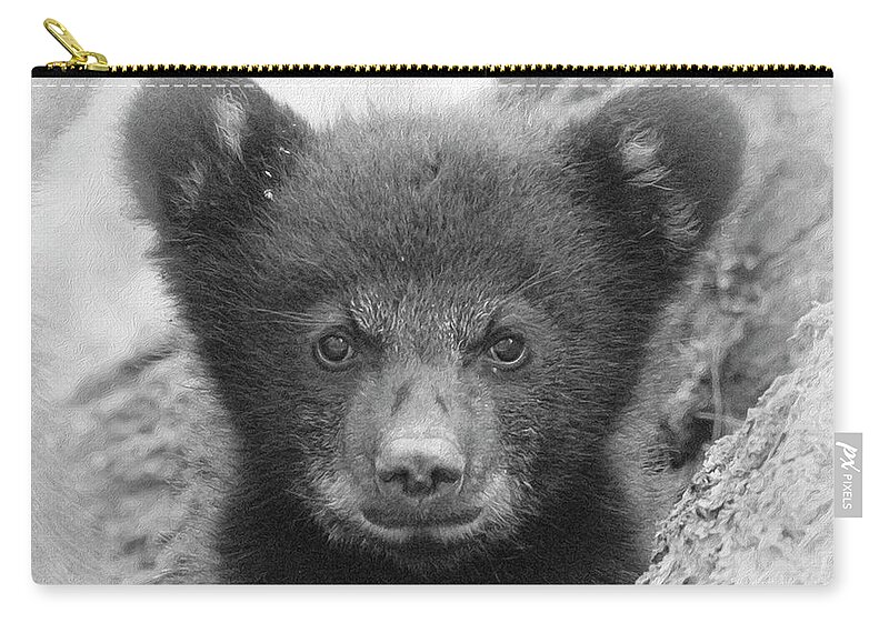 Bear Zip Pouch featuring the photograph Square Bear by Everet Regal