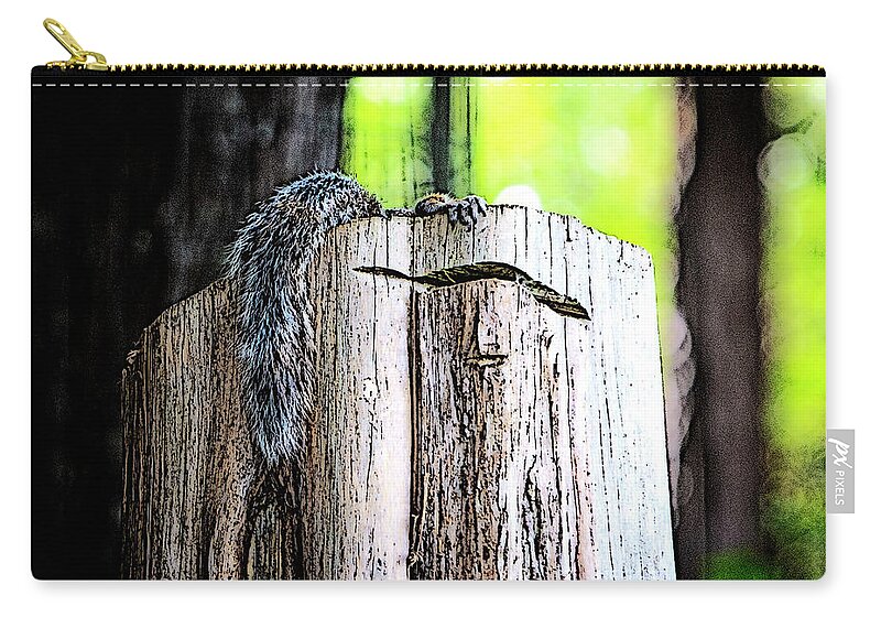 Charlotte-park Carry-all Pouch featuring the digital art Squirrel at the Lake by SnapHappy Photos