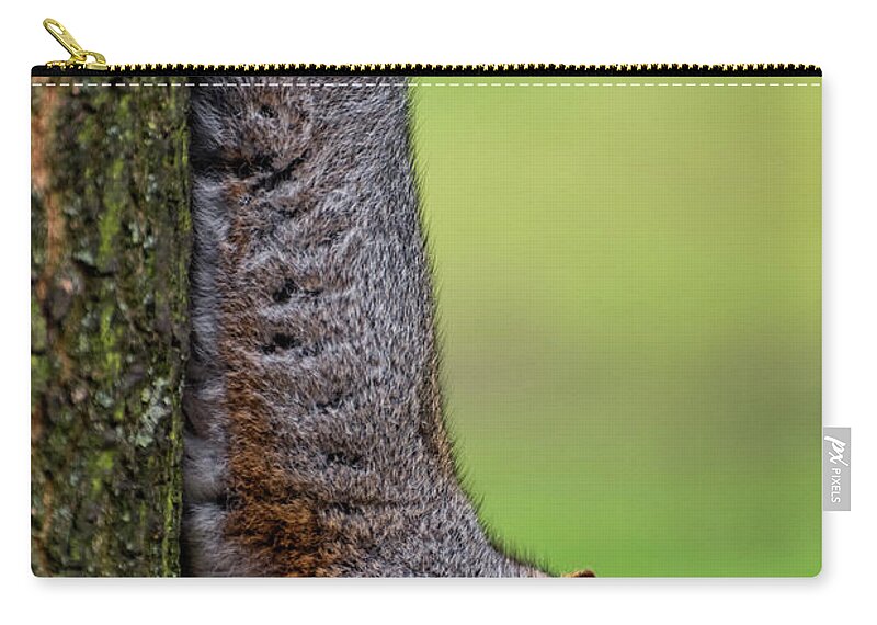 Squirrel Zip Pouch featuring the photograph Squirrel at Greenwich Park 2 by Pablo Lopez