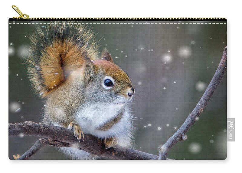 Squirrel Zip Pouch featuring the photograph Squirrel Balancing Act by Patti Deters