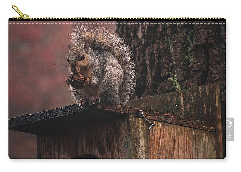 Squirrel Zip Pouch featuring the photograph Squirrel on a Birdhouse - Rainy Autumn by Jason Fink