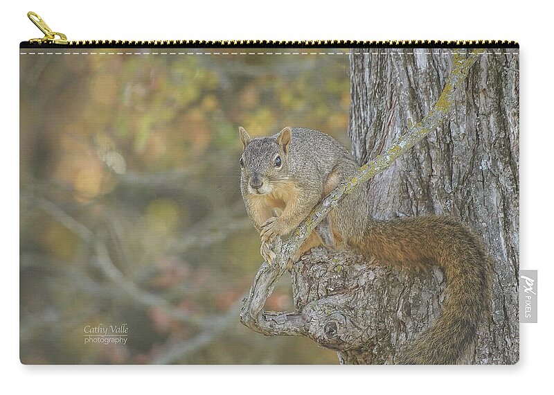 Squirrel Zip Pouch featuring the photograph Squirrel Print by Cathy Valle