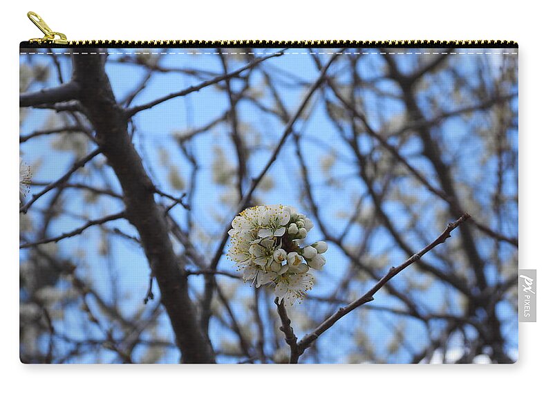 Spring Zip Pouch featuring the photograph Stained Glass Blossoms by Amanda R Wright
