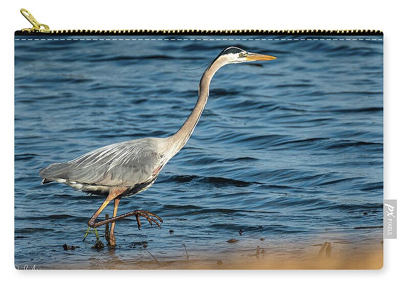 Great Blue Heron Zip Pouch featuring the photograph Stalker by Phil S Addis