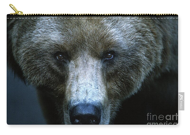 Animals Zip Pouch featuring the photograph Stare Down by Sandra Bronstein