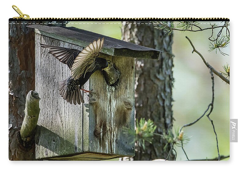 Starling Carry-all Pouch featuring the photograph Starling feed the nestling deep in the throat by Torbjorn Swenelius