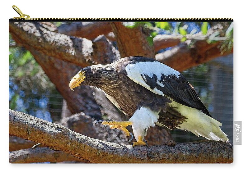Photo Zip Pouch featuring the photograph Steller's Sea Eagle by Matthew Adelman