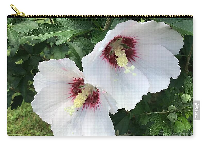 Rose Of Sharon Zip Pouch featuring the photograph Hibiscus Sticking Together 2 by Catherine Wilson