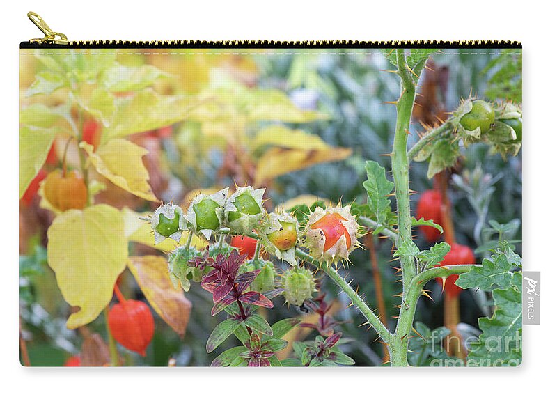 Sticky Nightshade Zip Pouch featuring the photograph Sticky Nightshade Fruit in Autumn by Tim Gainey