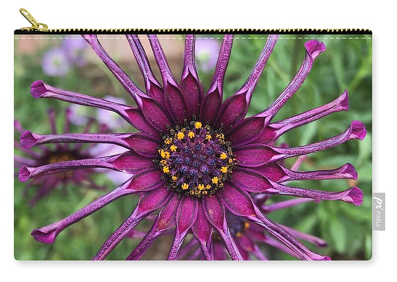 Purple Zip Pouch featuring the photograph Strange Love by Wendy Golden
