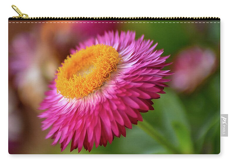 Straw Flower Zip Pouch featuring the photograph Straw Flower by Michelle Wittensoldner