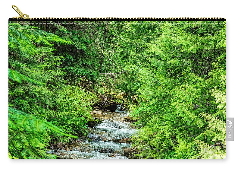 Stream Zip Pouch featuring the photograph Stream Of Ferns by Pamela Dunn-Parrish