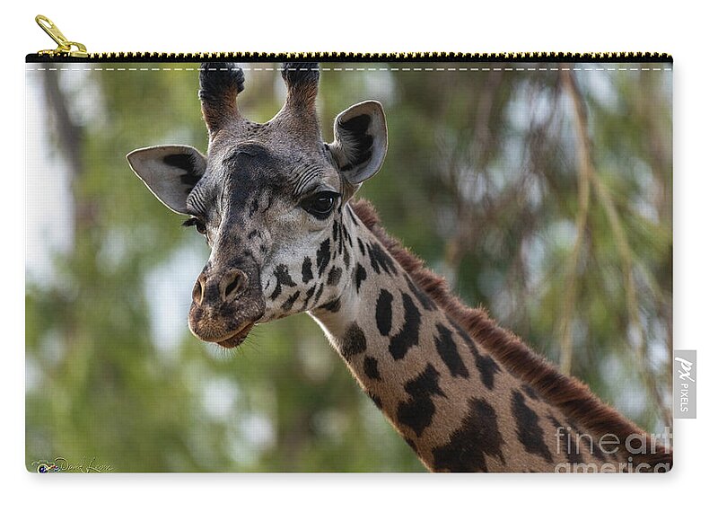 San Diego Zoo Zip Pouch featuring the photograph Stretching My Neck Out for This Photograph by David Levin