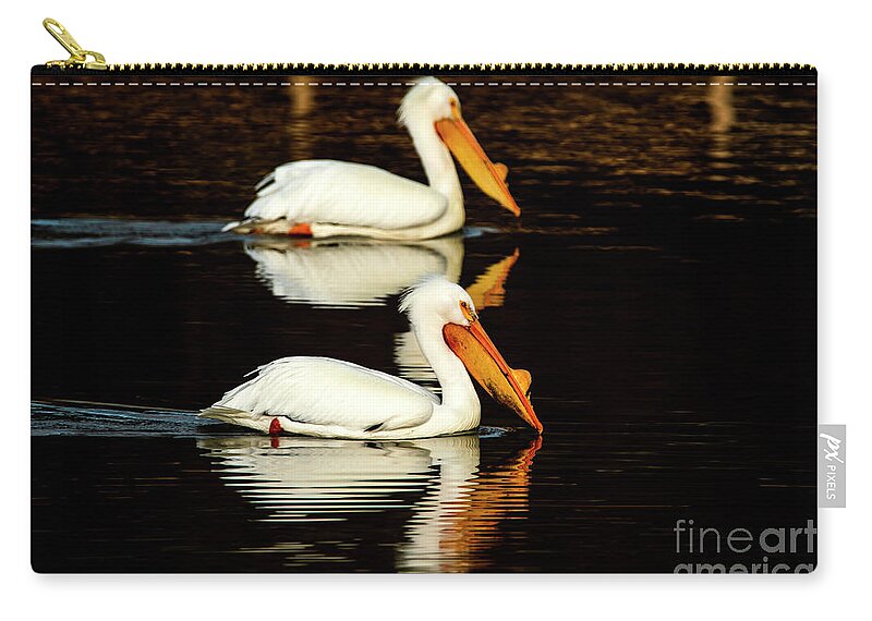 Great White Pelicans Zip Pouch featuring the photograph Striking a Pose with Pelicans by Sandra J's