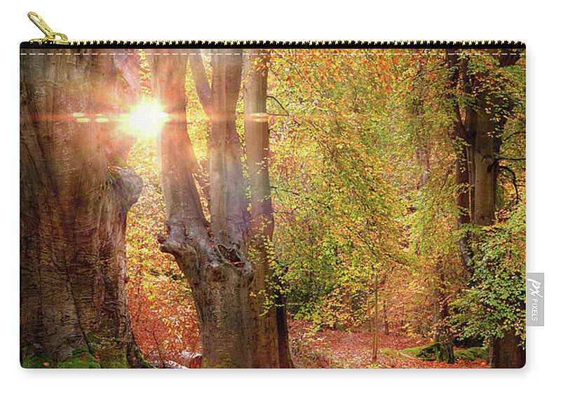 Autumn Zip Pouch featuring the photograph Stunning autumn forest road at sunrise in Norfolk by Simon Bratt