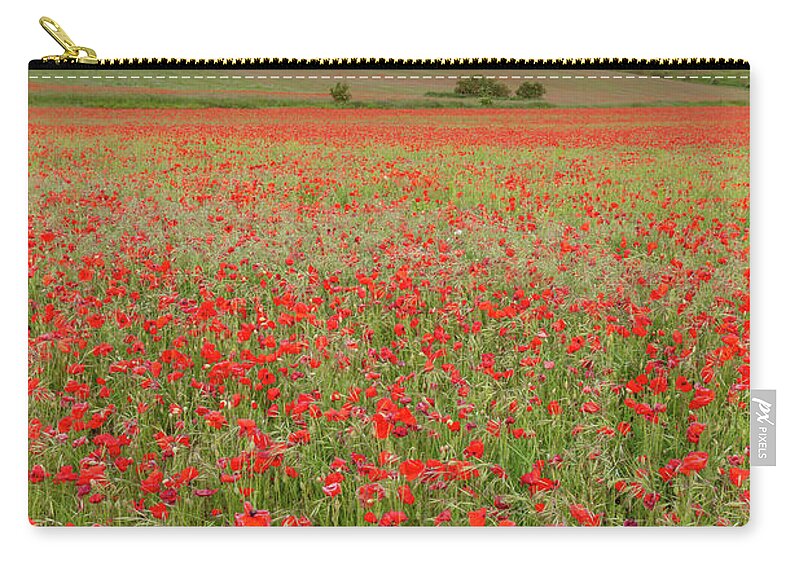 Norfolk Zip Pouch featuring the photograph Norfolk poppy fields at sunrise in England by Simon Bratt