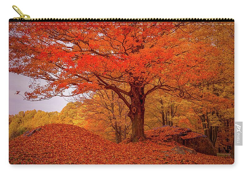 Peabody Massachusetts Zip Pouch featuring the photograph Sturdy Maple in Autumn Orange by Jeff Folger
