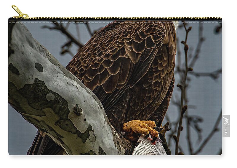 Avian Zip Pouch featuring the photograph Success by Brian Shoemaker