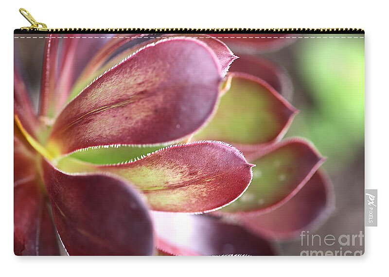 Flower Zip Pouch featuring the photograph Succulent-purple Aeonium by Joy Watson