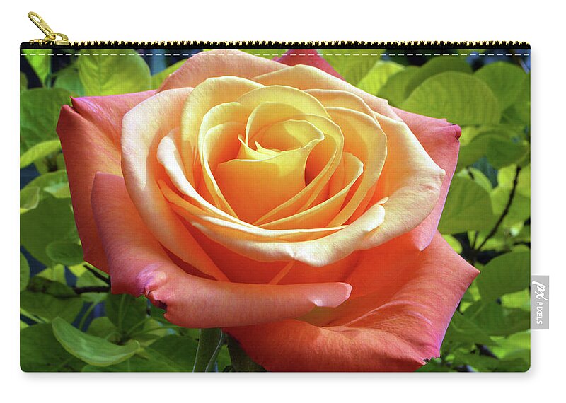 Rose Zip Pouch featuring the photograph Summer Rose by Terence Davis